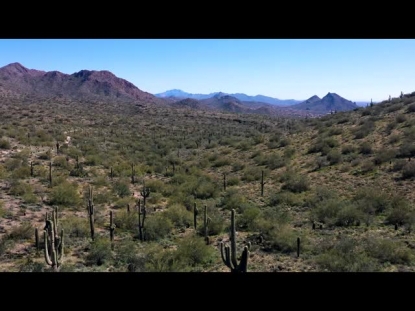 SCOTTSDALE BEAUTY LONG PLAY