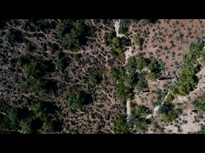 SCOTTSDALE TRAIL BIRD'S EYE