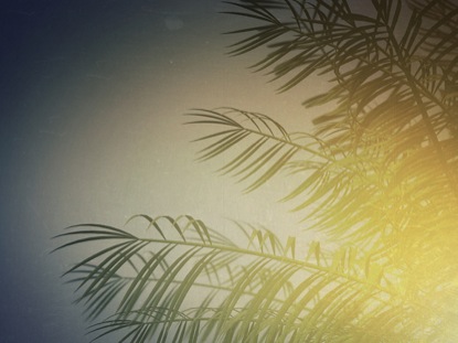 LOOP SUMMER PALM SINGLE TREE