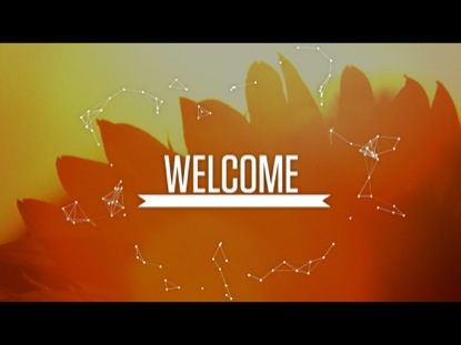 WELCOME SUMMER SUNFLOWERS