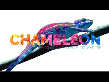 CHAMELEON  TITLE MOTION