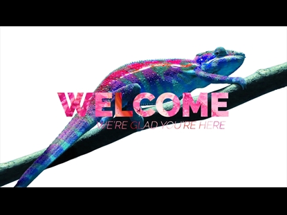 CHAMELEON  WELCOME MOTION