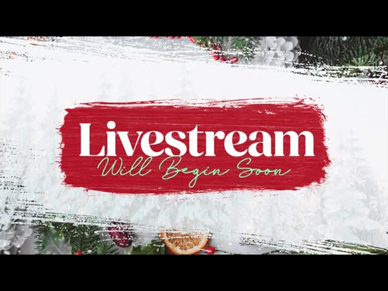 COMFORT AND JOY: LIVESTREAM MOTION