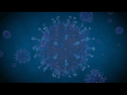 CORONAVIRUS UPDATE VOLUME ONE: TEACHING MOTION 2