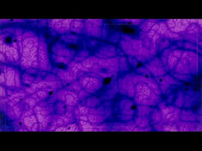 DNA TEACHING MOTION 1