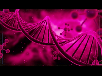 DNA TEACHING MOTION 2