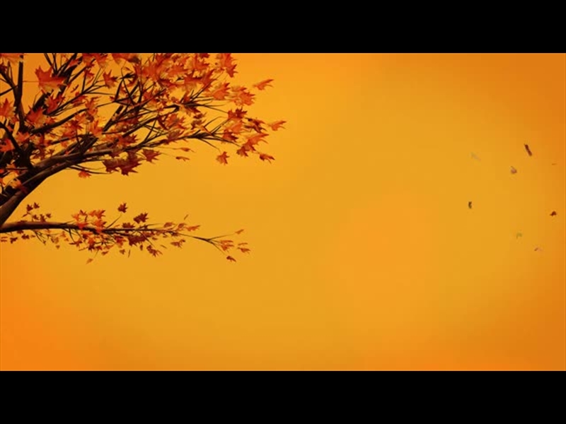 FALL VOLUME ONE: BACKGROUND 05