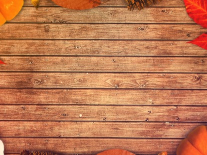 GRATITUDE TEACHING MOTION 01