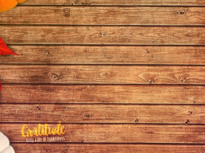 GRATITUDE TEACHING MOTION 02