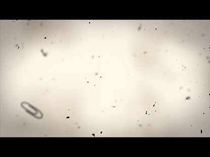 LIVING SACRIFICE BLANK MOTION 01