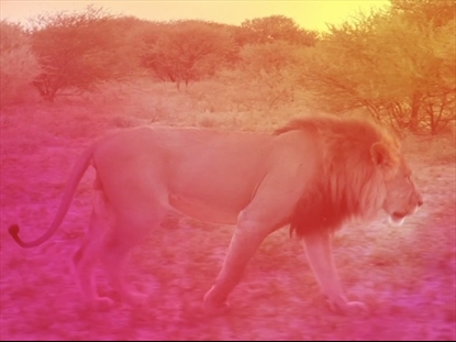 MARK CHRISTS POWER FOR EVERY NEED TEACHING MOTION 1