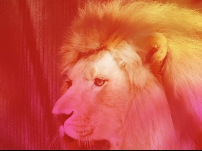 MARK CHRISTS POWER FOR EVERY NEED TEACHING MOTION 3