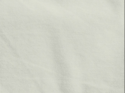 WILDERNESS TEACHING MOTION 1