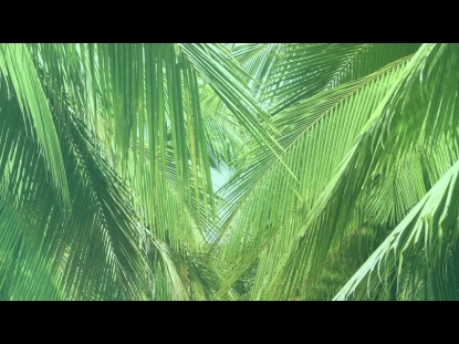 PALM SUNDAY TEACHING MOTION 1