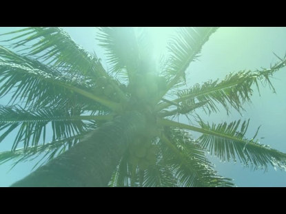 PALM SUNDAY TEACHING MOTION 2