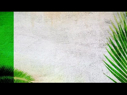 PALM SUNDAY VOL 1. MOTION 02