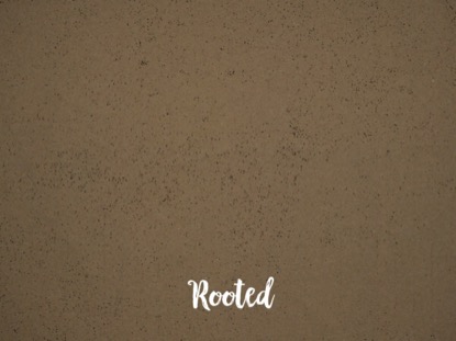 ROOTED BLANK MOTION 03