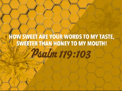 SWEET LIKE HONEY: SCRIPTURE MOTION