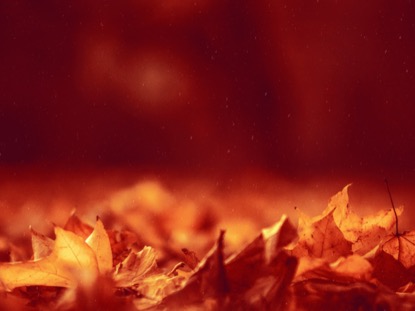 THANKSGIVING 03 TEACHING MOTION 01