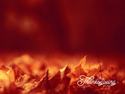 THANKSGIVING 03 TEACHING MOTION 02