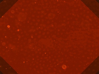 WHAT IT HAS FOR US TODAY TEACHING MOTION 03