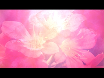 WOMEN'S MINISTRY TEACHING MOTION