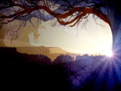 CONSIDER YOUR ROOTS LOOP 02