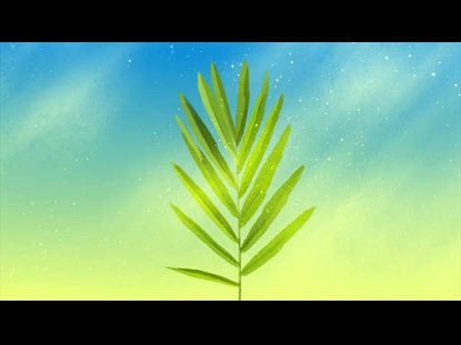 BEAUTIFUL DUST PALM SUNDAY 02