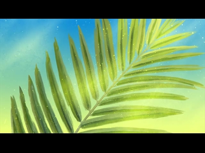 BEAUTIFUL DUST PALM SUNDAY 04