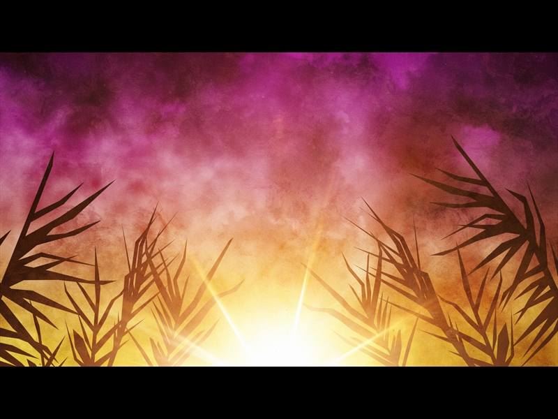 BRIGHT PALM SUNDAY 01