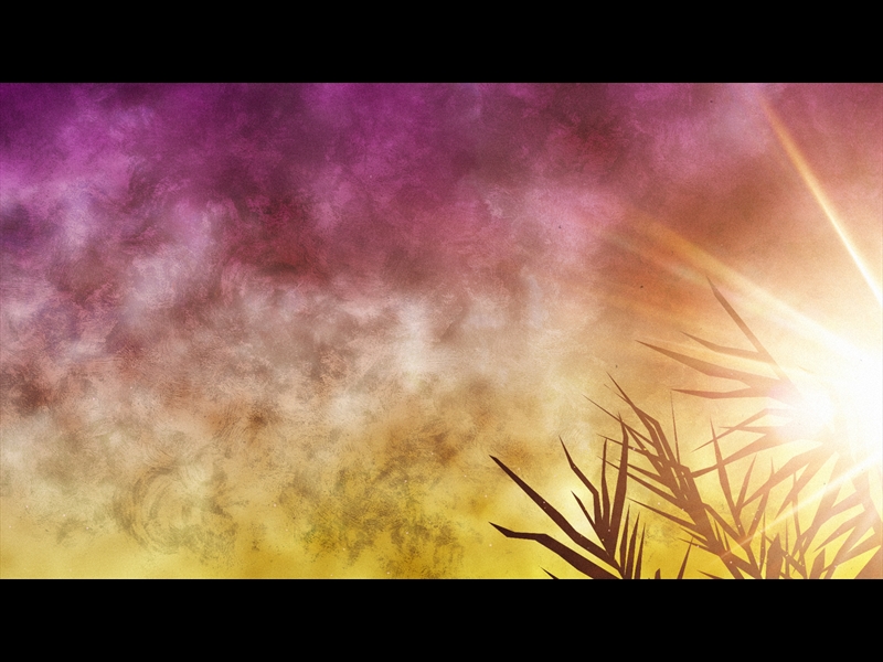 BRIGHT PALM SUNDAY 03