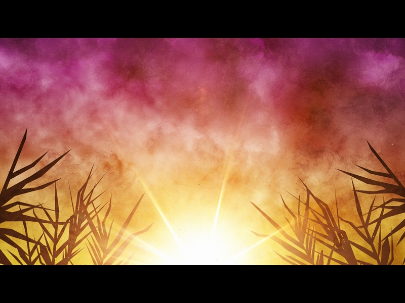 BRIGHT PALM SUNDAY 06