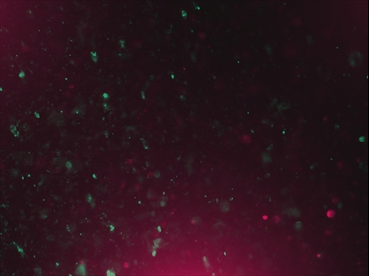 CHRISTMAS GLITTER 01