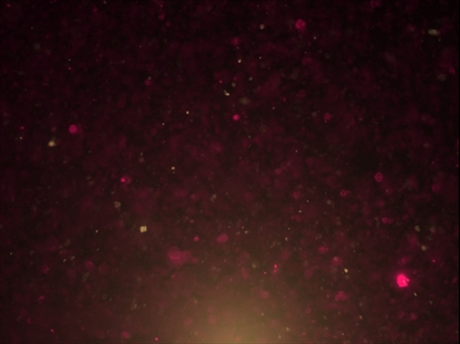 CHRISTMAS GLITTER 02