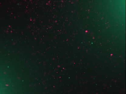 CHRISTMAS GLITTER 03