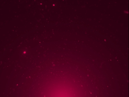 CHRISTMAS GLITTER 04