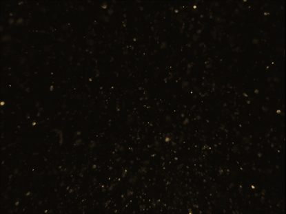 CHRISTMAS GLITTER 05