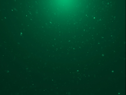 CHRISTMAS GLITTER 08