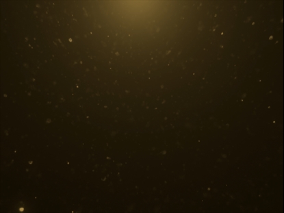 CHRISTMAS GLITTER 13