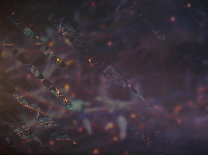 CHRISTMAS JOURNEY 02