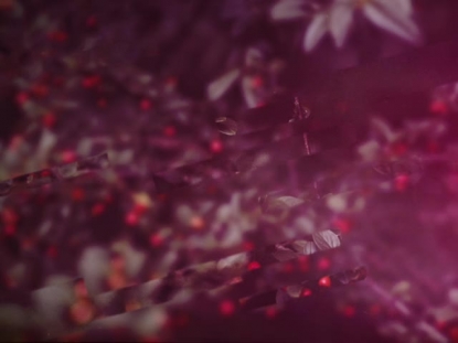 CHRISTMAS JOURNEY 05