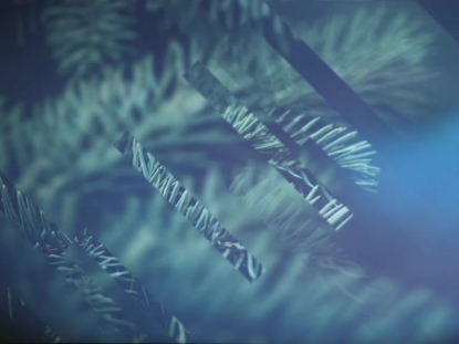 CHRISTMAS JOURNEY 08