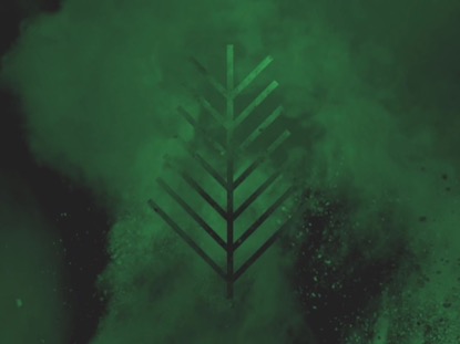 COLOR BURST PALM SUNDAY 01