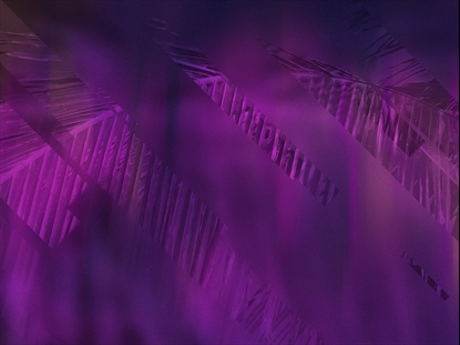 EASTER JOURNEY PALMS 03