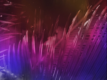 EASTER JOURNEY PALMS 08