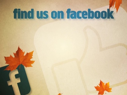 FACEBOOK FALL
