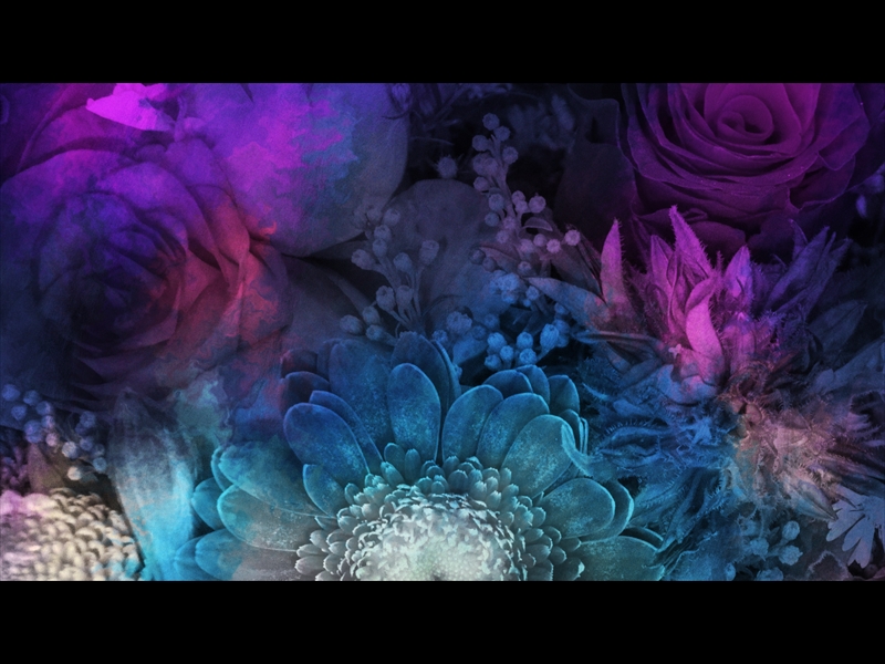 FLORAL PAINT 04
