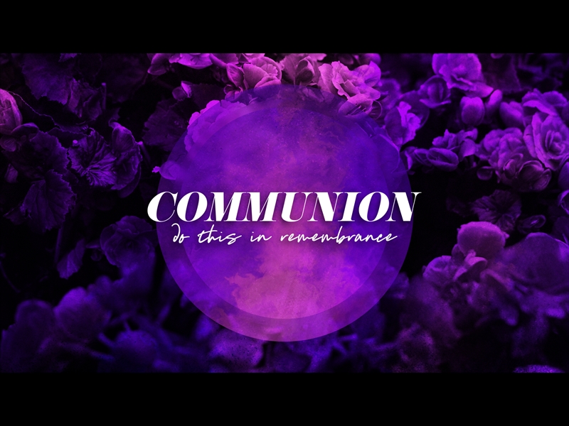 FLORAL PAINT COMMUNION