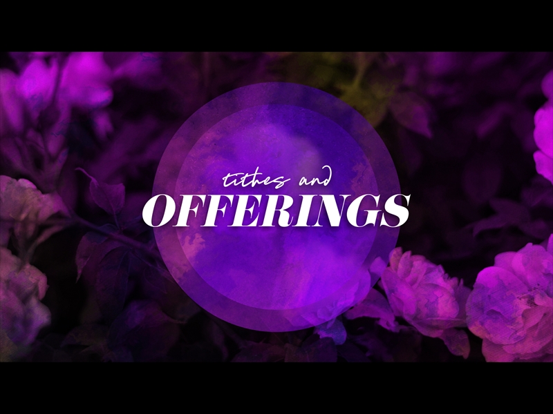 Floral Paint Tithes And Offerings Centerline New Media Playback
