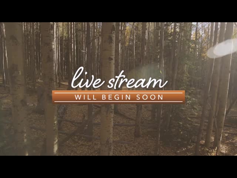 MOUNTAIN HIKE LIVE STREAM
